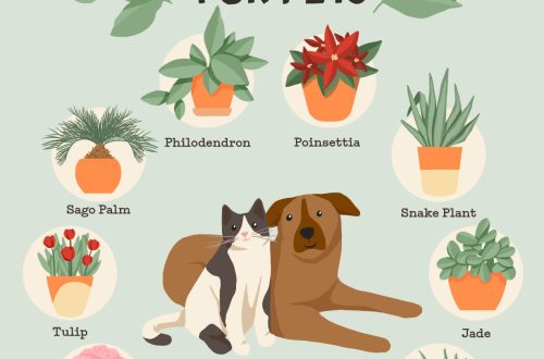Toxic plants for cats