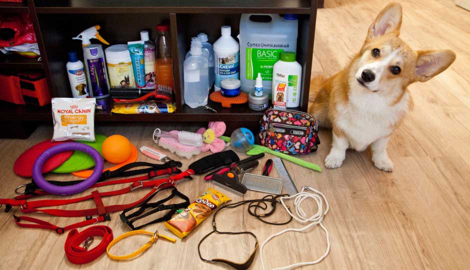 Travel first aid kit for dogs
