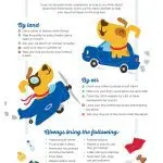 Traveling with a dog: what to take on the road?