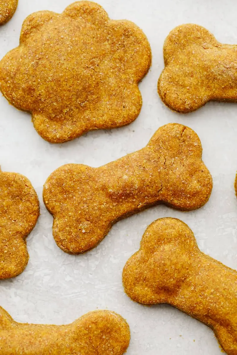 Treats for dogs