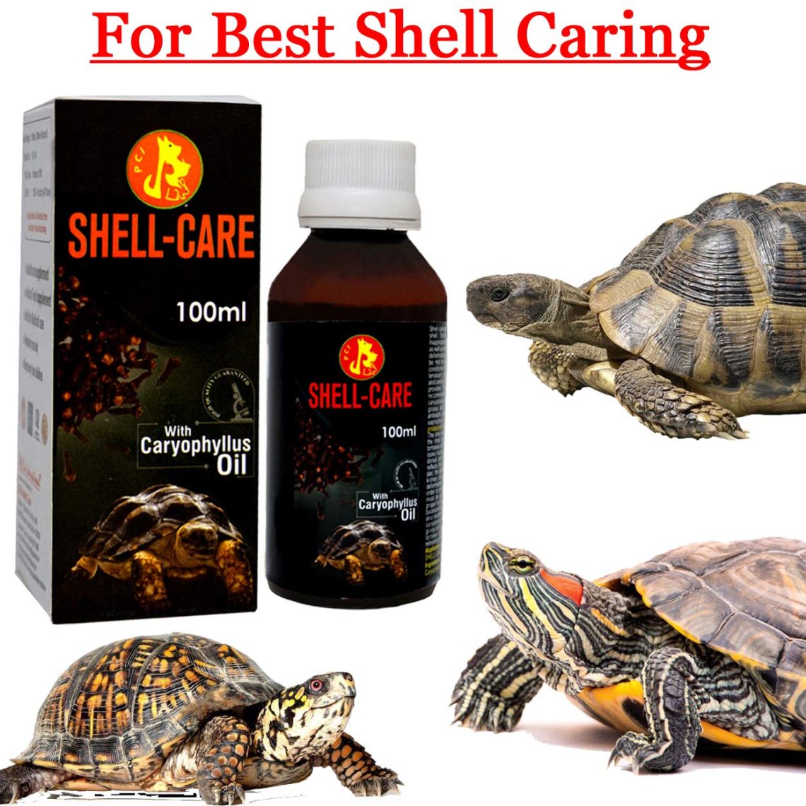 Turtle shell care