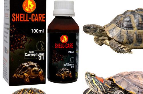 Turtle shell care
