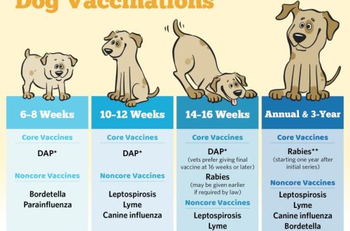 Vaccination of dogs