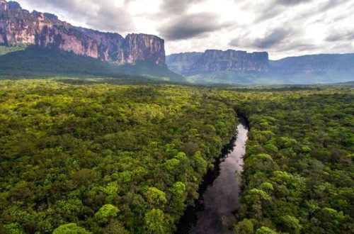 Amazonia venezuelana