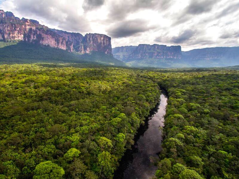 Venezuelan Amazon