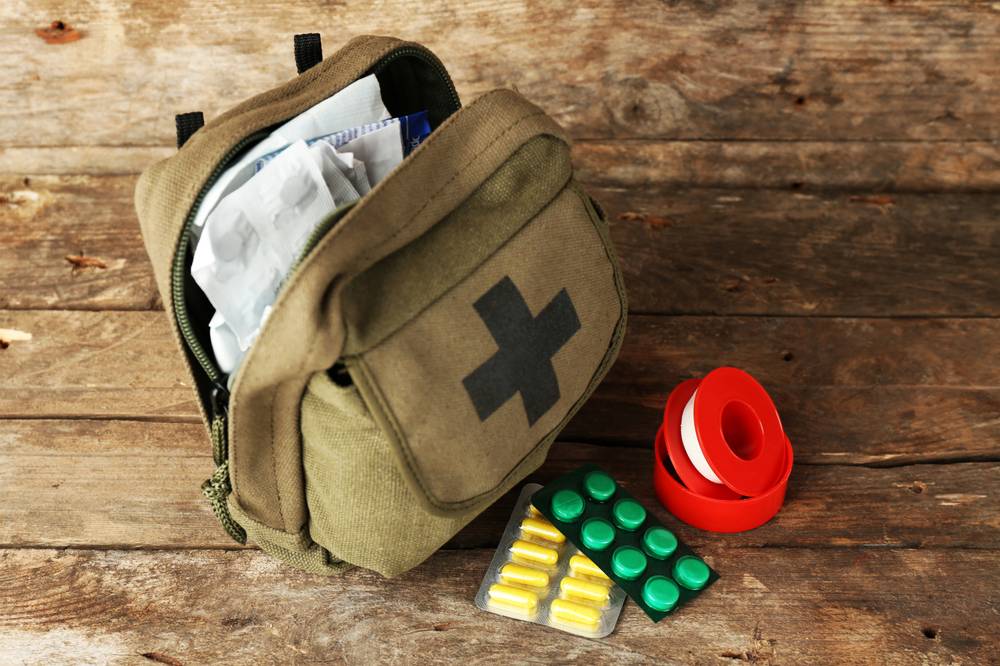 Veterinary first aid kit for a dog owner