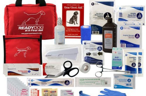Veterinary first aid kit for a dog owner