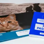Veterinary passport for a cat