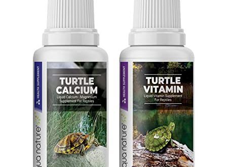 Vitamins and calcium for turtles and other reptiles: what to buy?