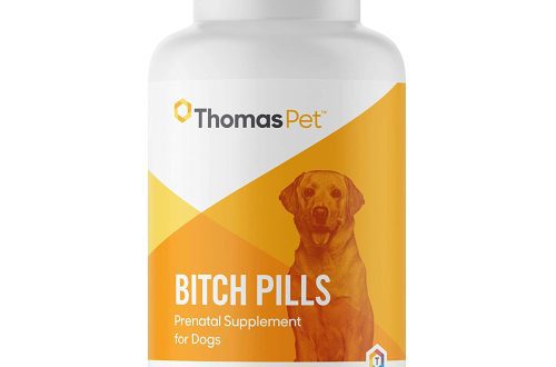 Vitamins for pregnant dogs