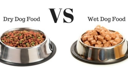 Wet and dry dog ​​food