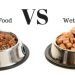 Rules for choosing dry dog ​​food