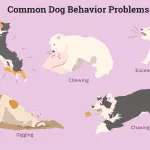 What behavior is normal for a dog?