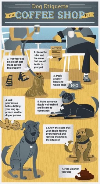 What commands are needed to safely enter a cafe with a dog?