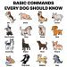 How to teach a dog the &#8220;Wait&#8221; command?