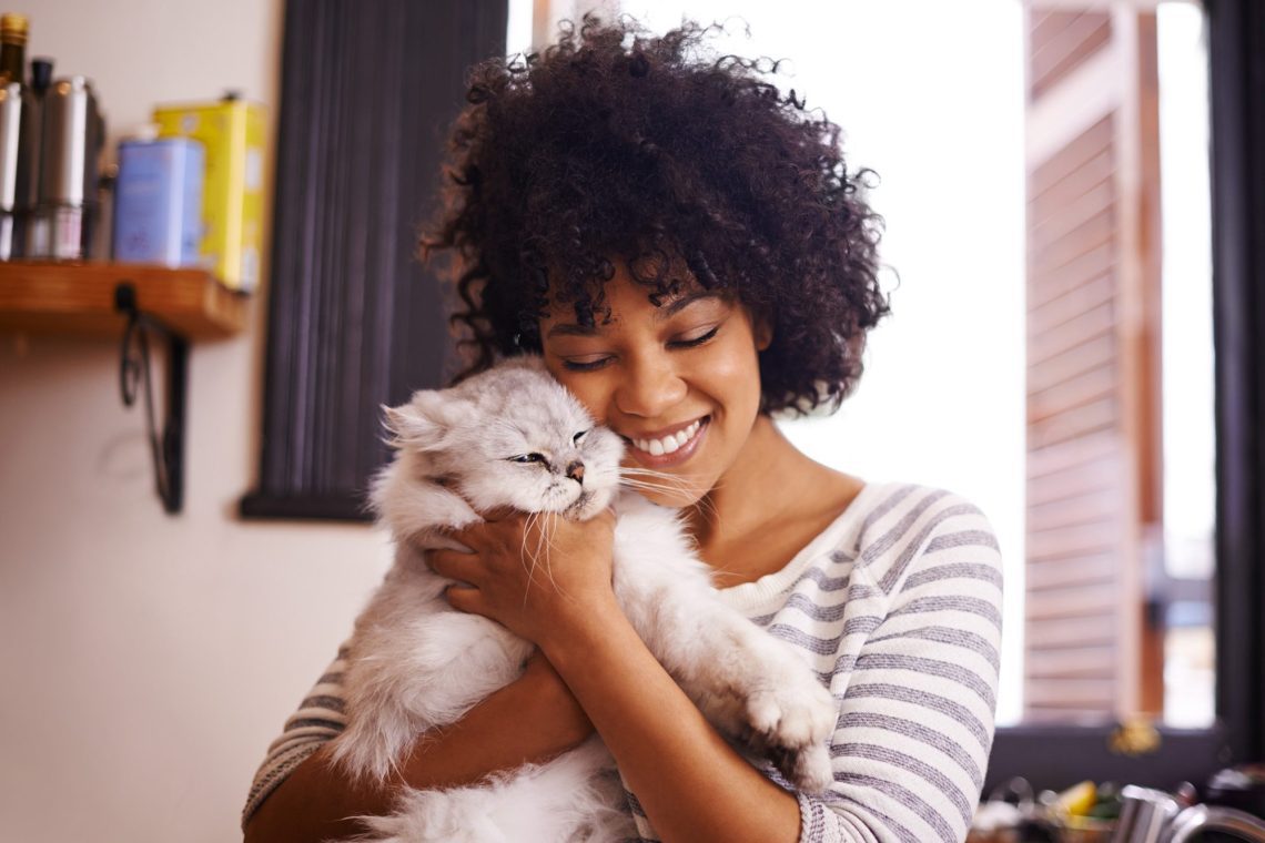 What determines the love of a cat to the owner?