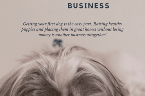 What do you need to know to become a dog breeder?