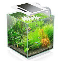 What is a nano aquarium?