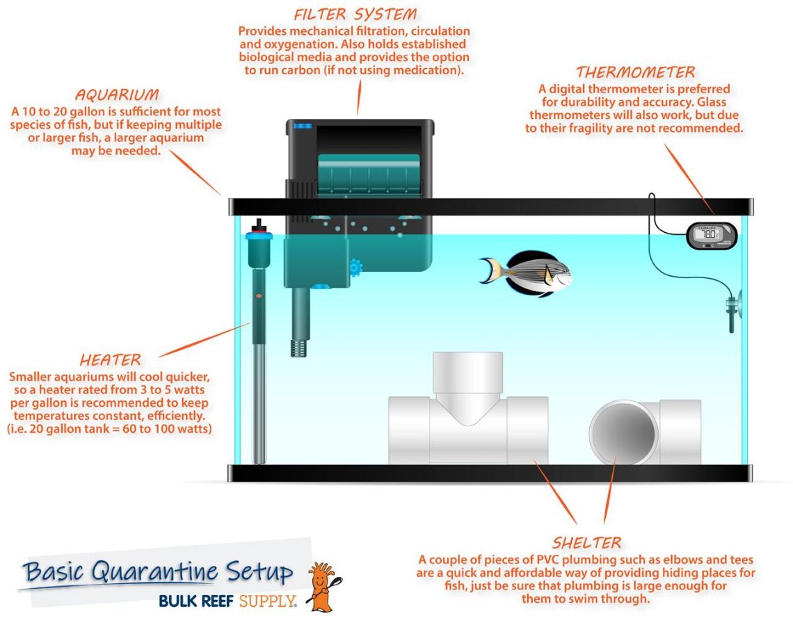 What is a quarantine aquarium for?