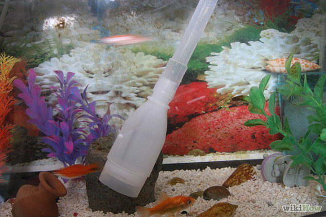 What is an aquarium siphon and what is it for?