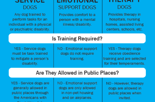 What is an emotional support dog?