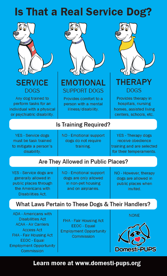 What is an emotional support dog?