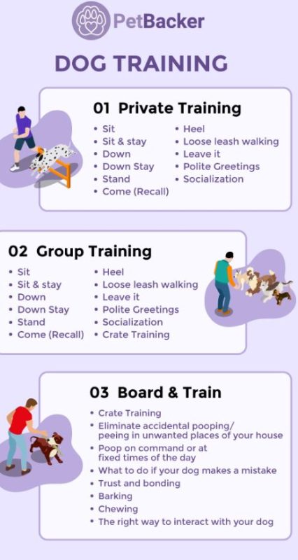What is dog training and how is it different from training