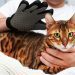 Neutering pets: 3 main myths, pros and cons