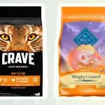 What is the best food for cats?