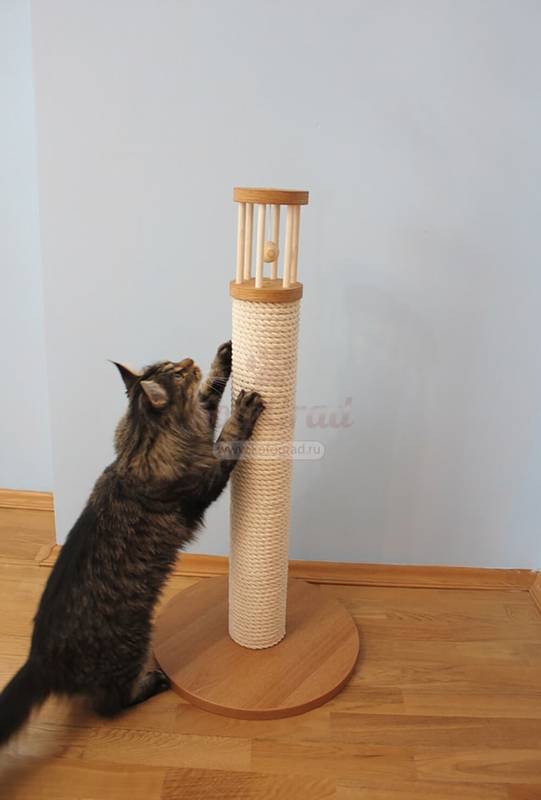 What is the best scratching post for a cat?