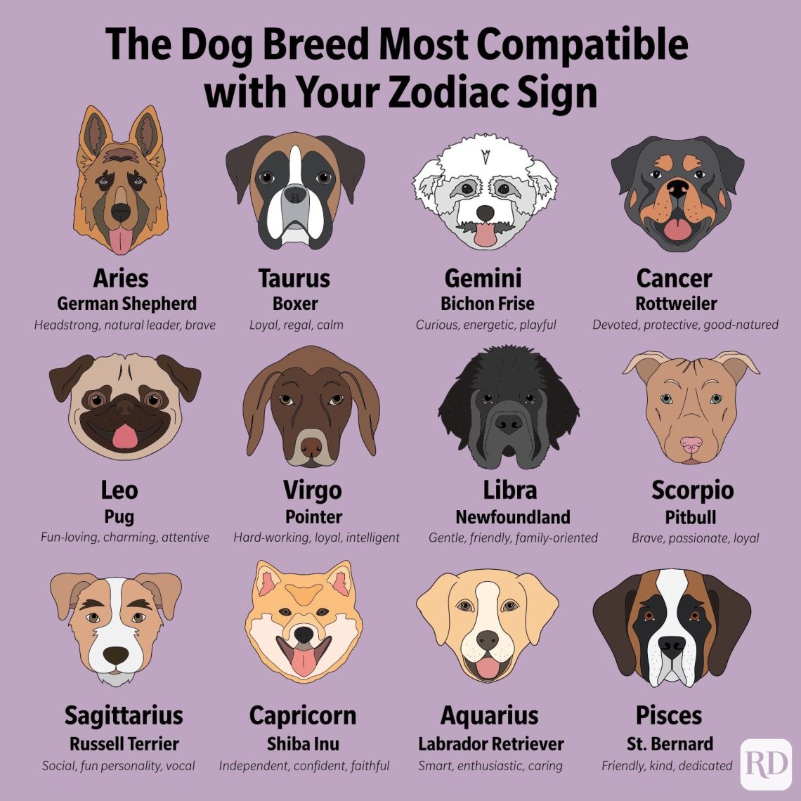 What is your dog according to the zodiac sign?