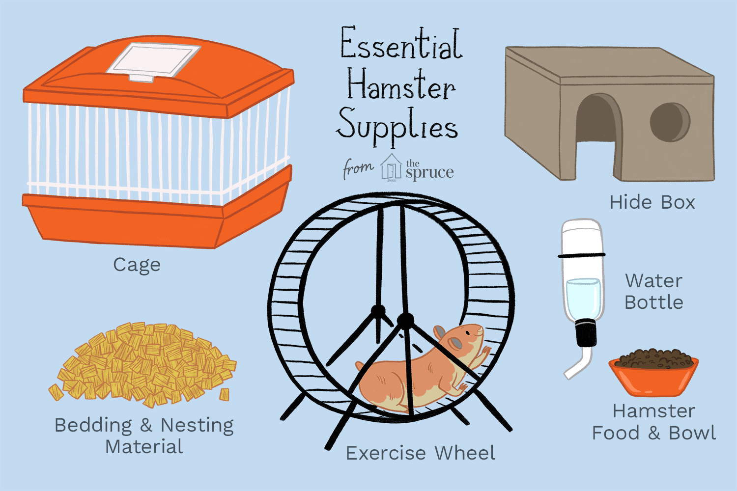 What kind of cage is needed for a hamster?