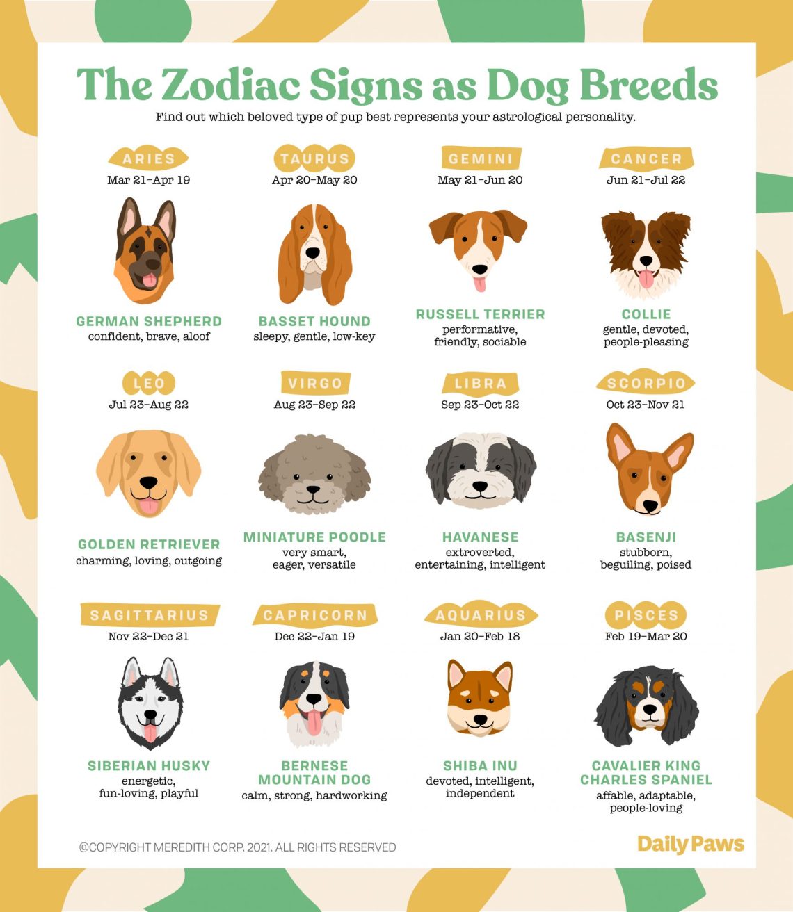 What kind of dog are you according to your zodiac sign?