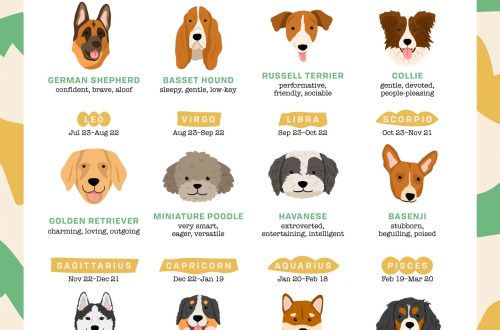 What kind of dog are you according to your zodiac sign?