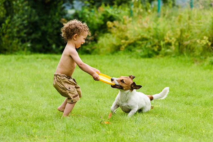 What kind of dog to get for a child and how to help them make friends?