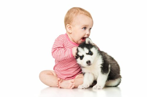 What kind of pet to get for a child?