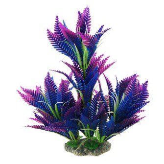 What plants to choose in the aquarium - live or artificial?