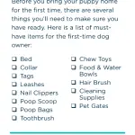 What to buy a puppy for the first time