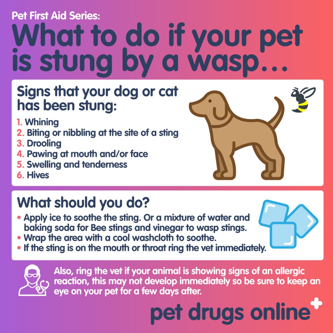 What to do if a dog is bitten by a bee or wasp?