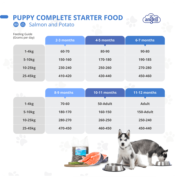 What to feed a puppy?