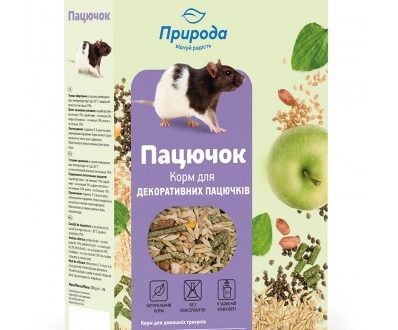 What to feed decorative rats?