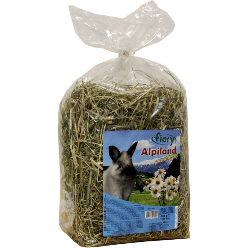 What to give a rabbit for the New Year?