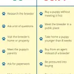 What to look for in a breeder
