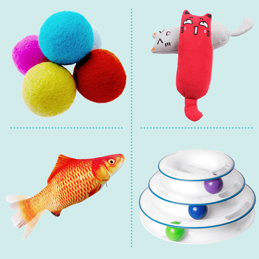 What toys to choose for a cat?