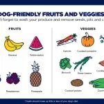 What treats to give your dog?