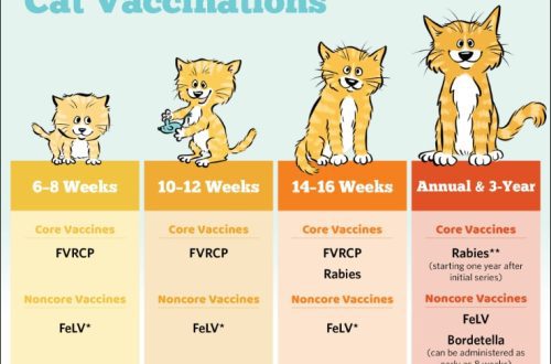 What vaccinations are given to kittens?