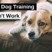 How to train a puppy with a dog handler
