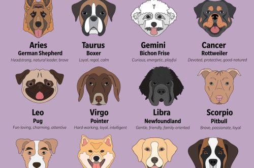 Which dog suits your zodiac sign?