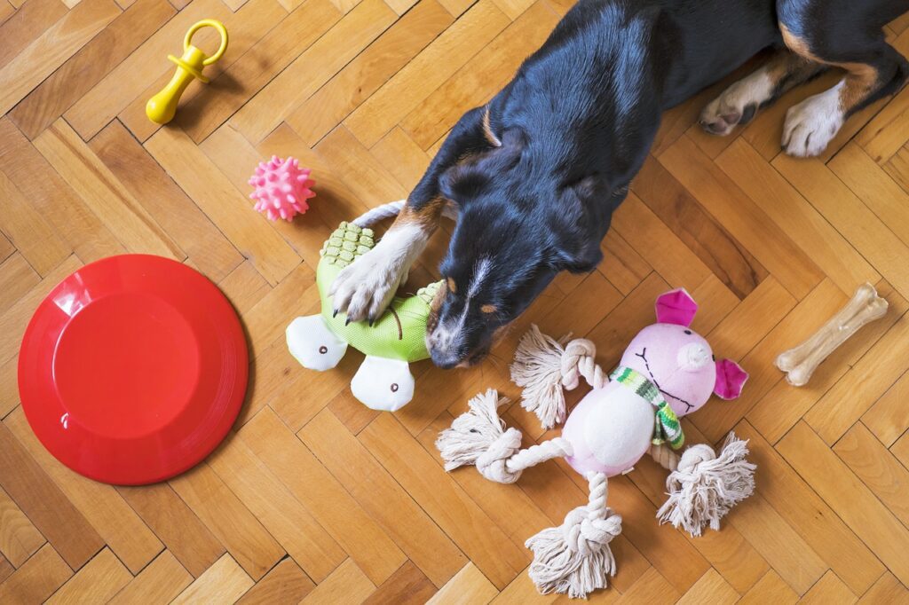 Which dogs are bad for squeaky toys?