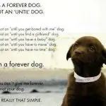 Who and when should not get a dog